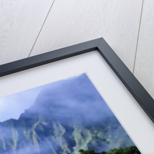 Light Fog in Kalalau Valley by Anonymous