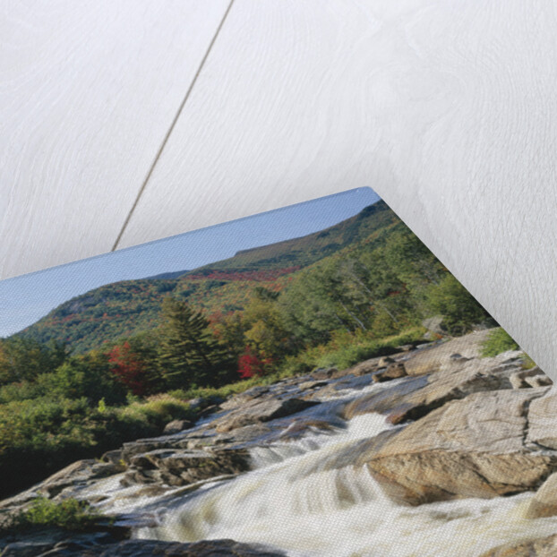 Ausable River Rapids by Anonymous