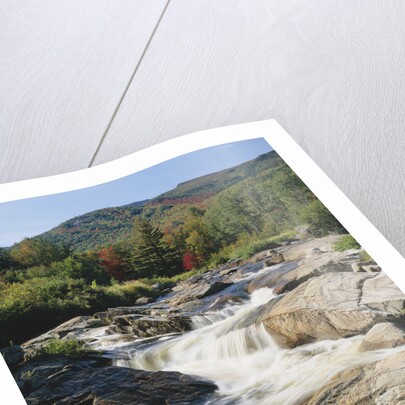 Ausable River Rapids by Anonymous