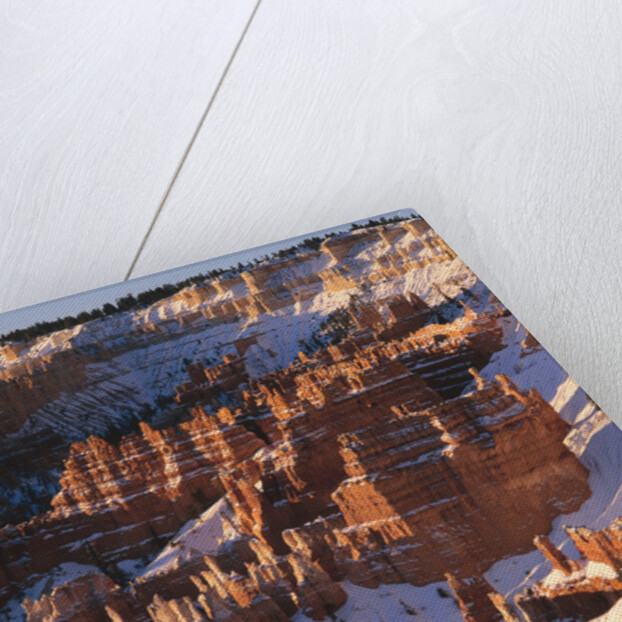 Bryce Canyon Amphitheater by Anonymous
