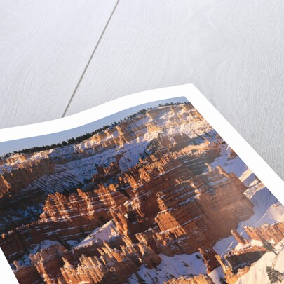 Bryce Canyon Amphitheater by Anonymous