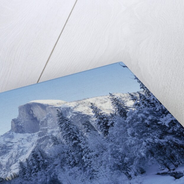 Merced River and Half Dome in Winter by Anonymous