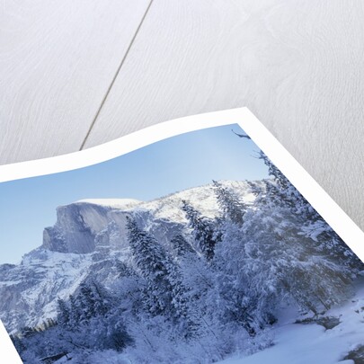 Merced River and Half Dome in Winter by Anonymous