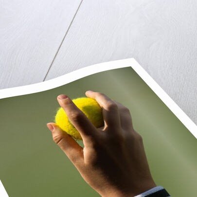 Hand of a Wimbledon Ball Boy Holding a Tennis Ball by Anonymous