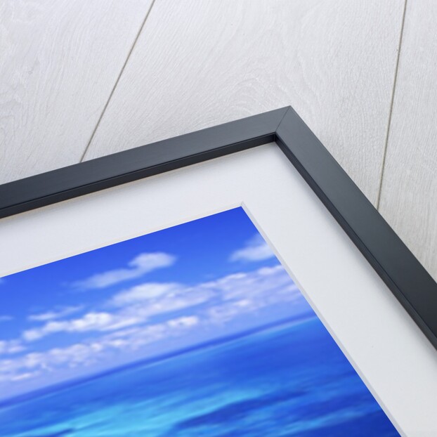 Australia's Great Barrier Reef by Anonymous