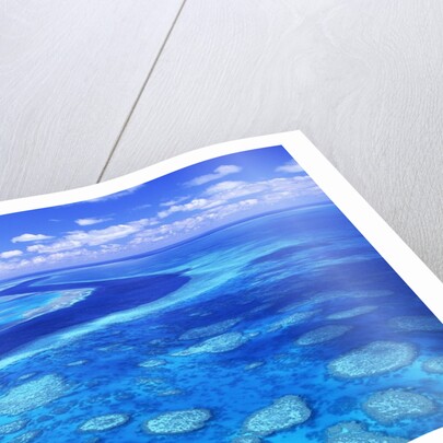 Australia's Great Barrier Reef by Anonymous