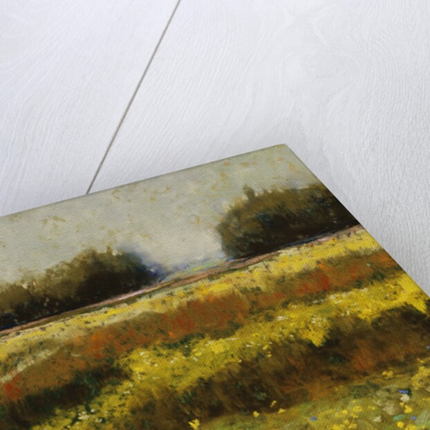 View from Dale Farm by Lou Wall