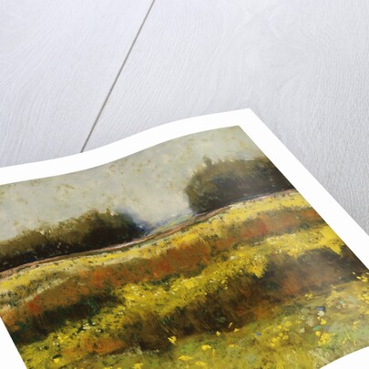 View from Dale Farm by Lou Wall