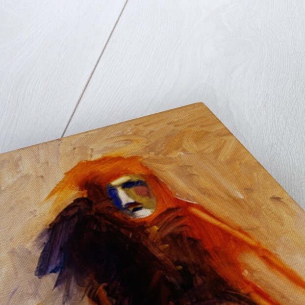 The Trickster by Lou Wall