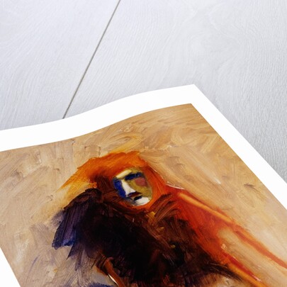 The Trickster by Lou Wall