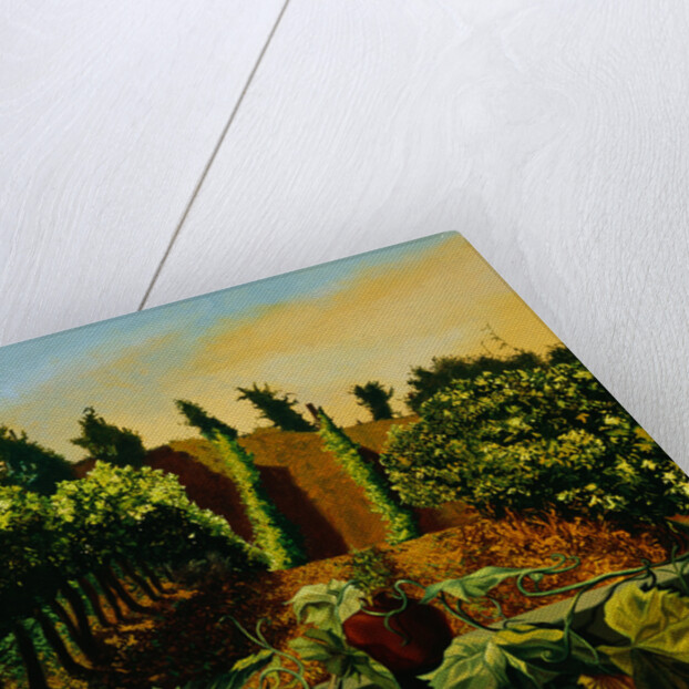 Persephone in the Vineyard by Anne Belov