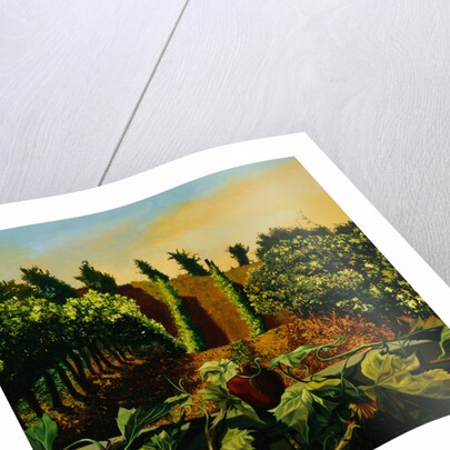 Persephone in the Vineyard by Anne Belov