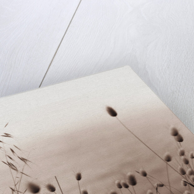 Grasses by the Ocean by Anonymous