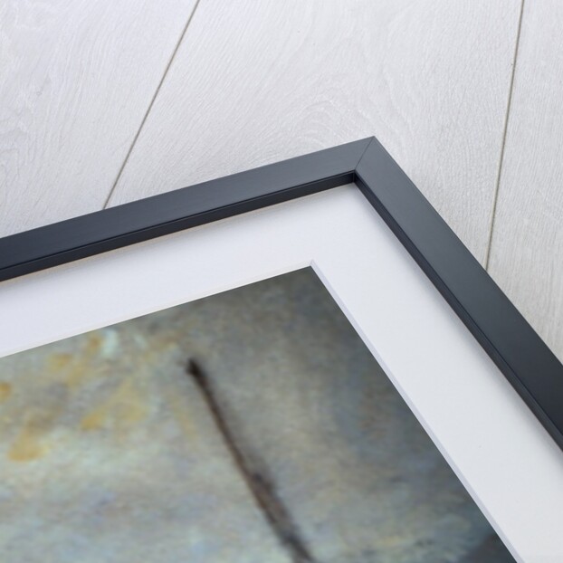 Old Willow Lane 2 by Mary Iverson