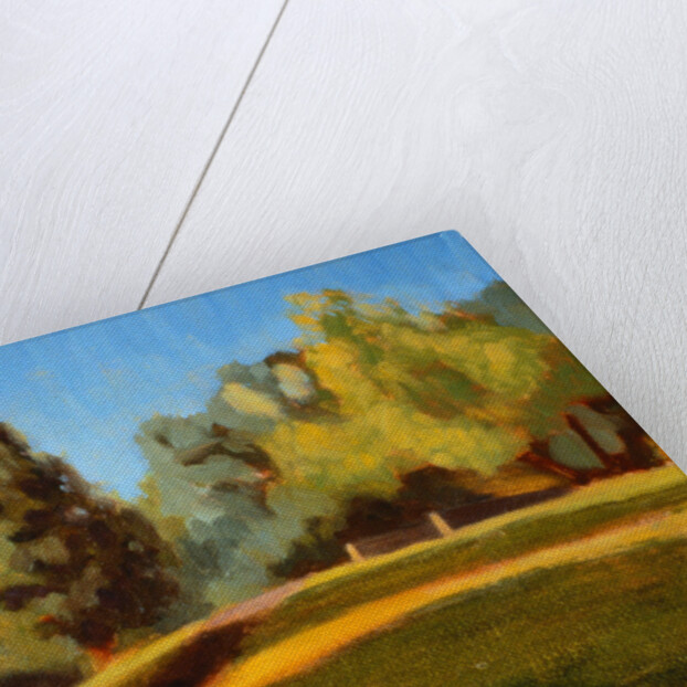 Woodland Park Hill, North by Mary Iverson