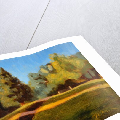 Woodland Park Hill, North by Mary Iverson