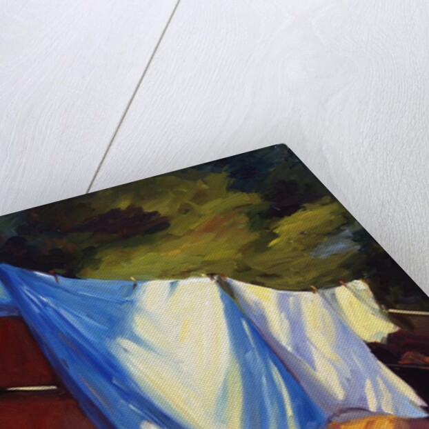Sheets of Italy by Pam Ingalls