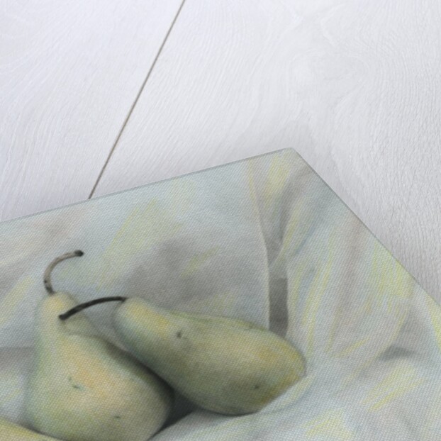 Pear Study #1731 by Kim Koza
