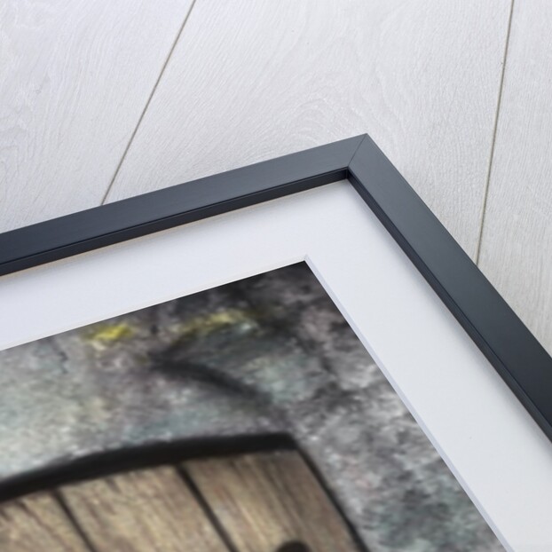 H.C. Cotswald Door and Tulips by Kim Koza