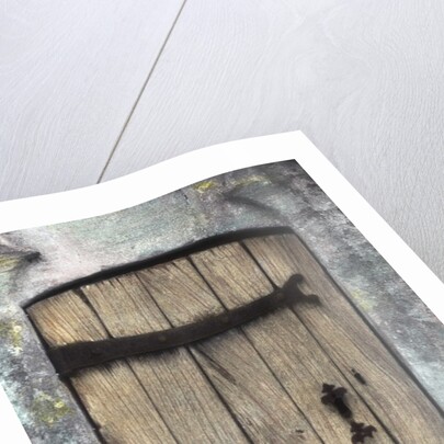 H.C. Cotswald Door and Tulips by Kim Koza