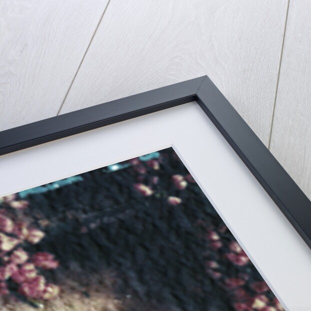 Key and Heather by Kim Koza