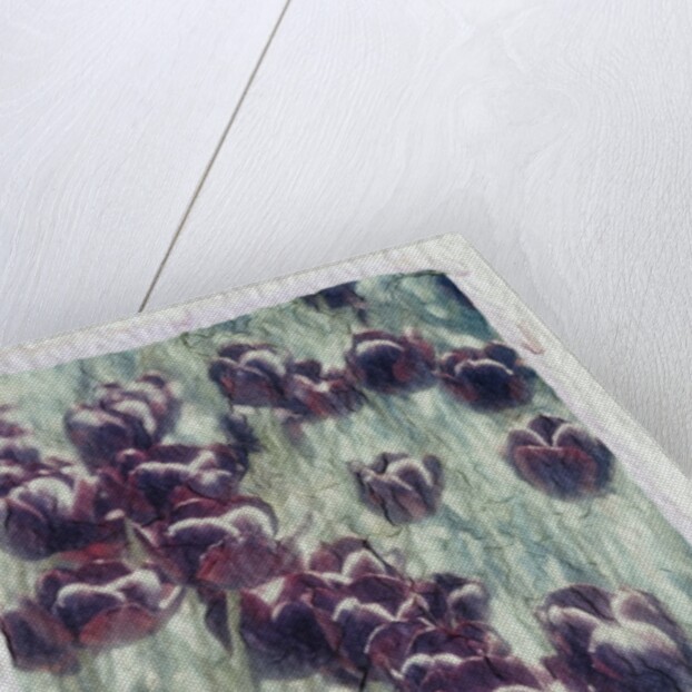 Purple Tulips by Kim Koza