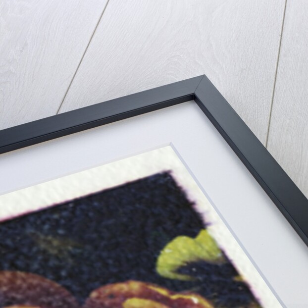 Monet's Flower by Kim Koza