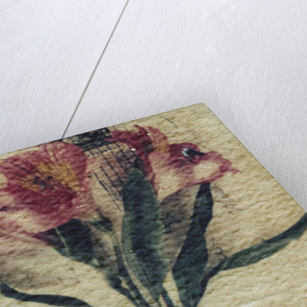 Stamp and Flower by Kim Koza