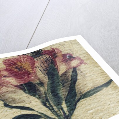 Stamp and Flower by Kim Koza