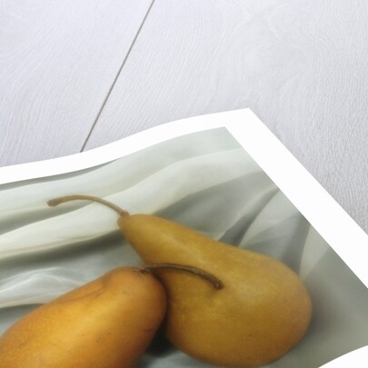 Pears by Kim Koza