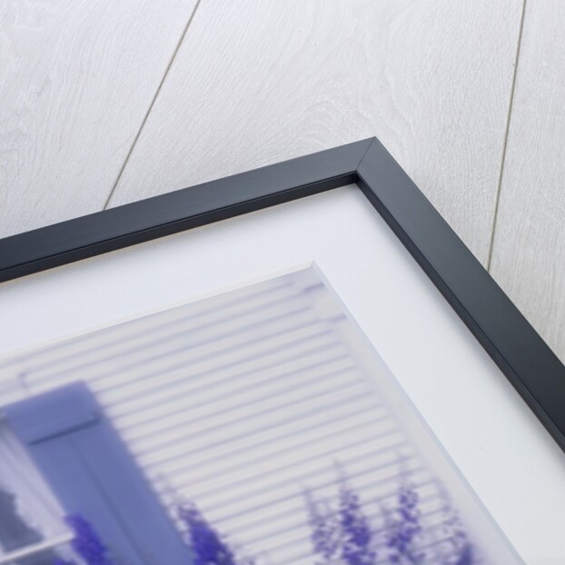 Blooming Cottage Flowers by Anonymous