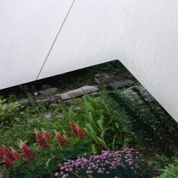 Old Chair in a Garden by Anonymous