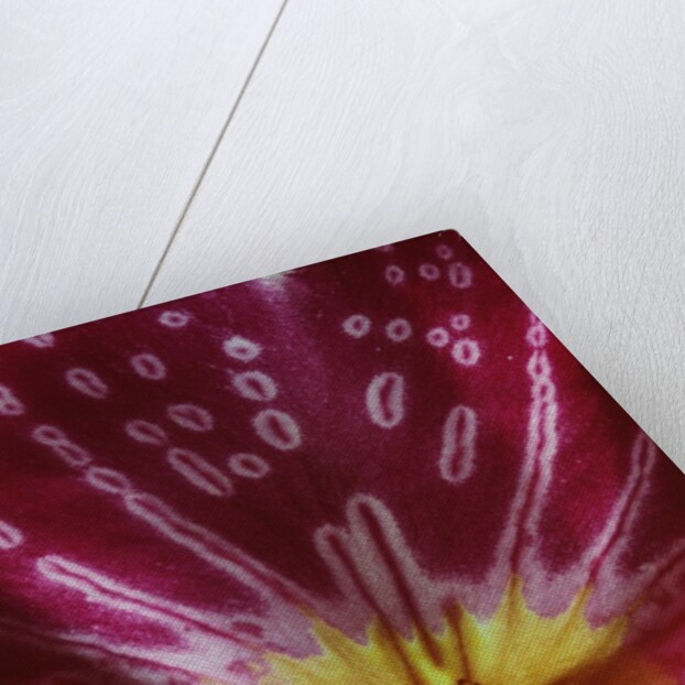 Close-up of an Orchid by Anonymous