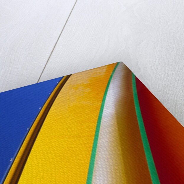 Brightly Colored Boat Exterior by Anonymous