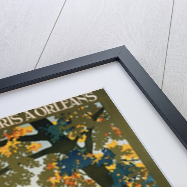 Cheverny les Chateaux de la Loire Poster by Constant Duval