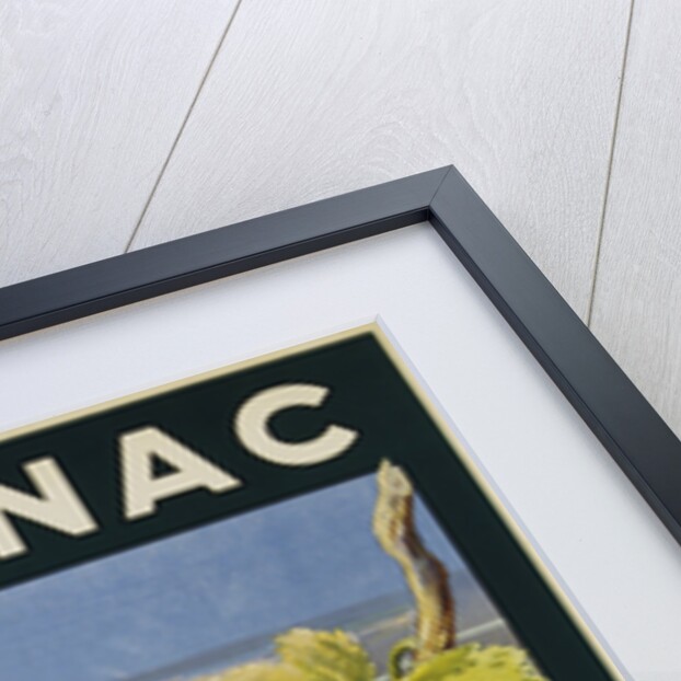 Cognac Salamandre Poster by Anonymous