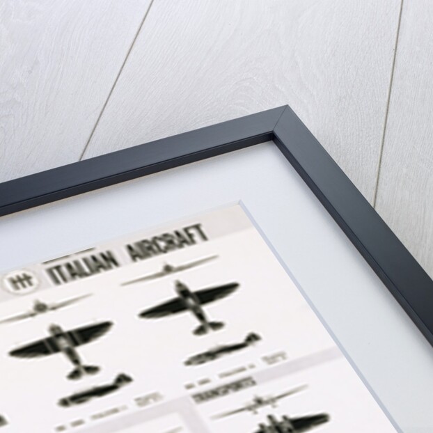 Poster of Italian Combat and Transport Aircraft by Anonymous