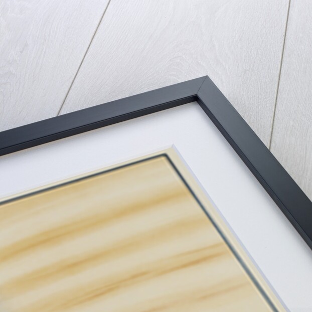 Before Sunset Poster by Eugenie de Land