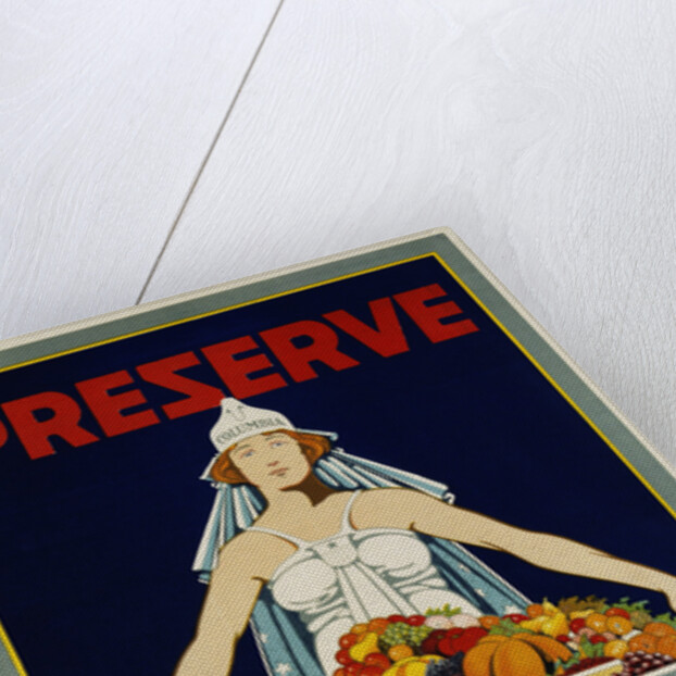 Preserve War Effort Poster with Figure of Columbia by Housh