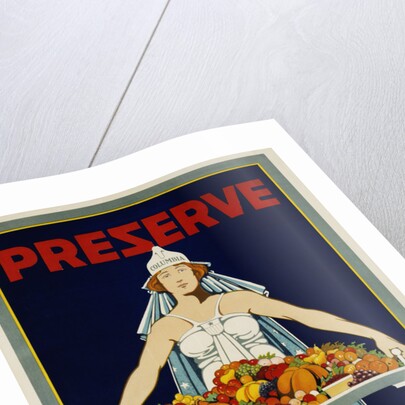 Preserve War Effort Poster with Figure of Columbia by Housh