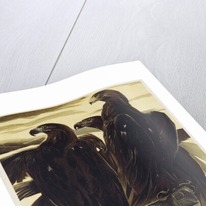 Esposizione Internationale, Roma 1911 Poster by Duilio Cambellotti