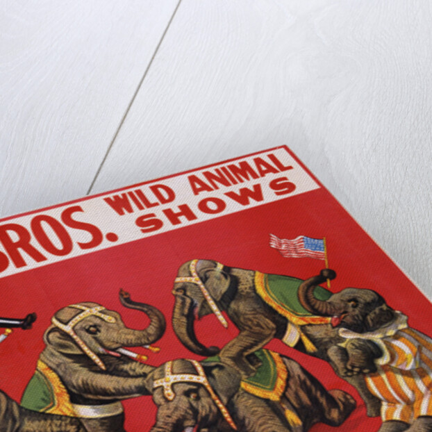 Richards Bros. Wild Animal Shows Poster by Anonymous