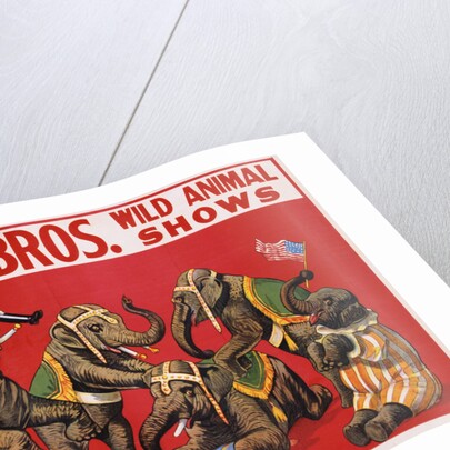 Richards Bros. Wild Animal Shows Poster by Anonymous