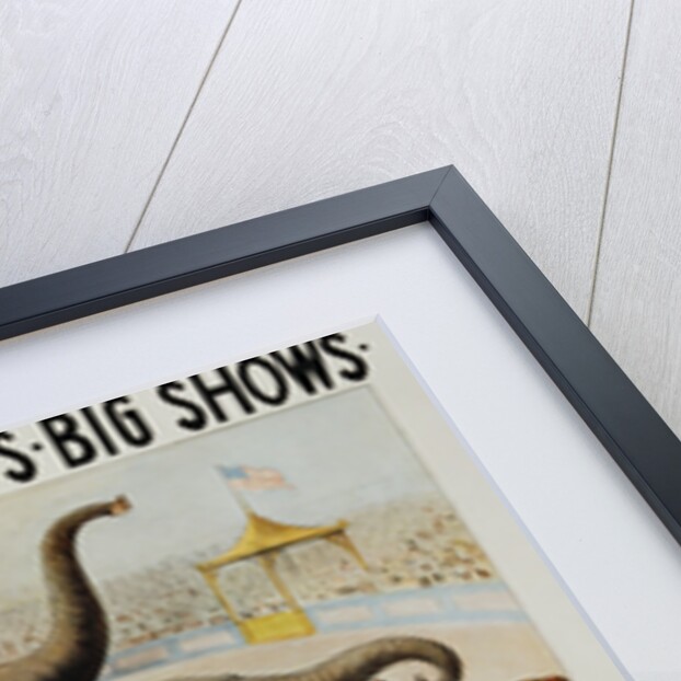 Poster Advertisement for O'Brien, Handenberger & Astley's Big Shows by Anonymous