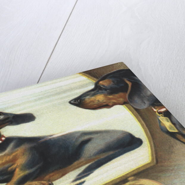 The Magic Mirror Postcard by Anonymous