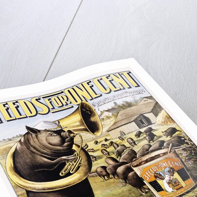 3 Feeds for One Cent Poster by Anonymous