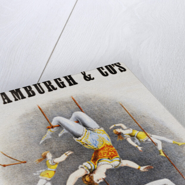 Van Amburgh and Co's Menagerie, Circus and Colosseum Poster with Male and Female Trapeze Artists by Anonymous