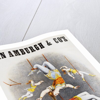 Van Amburgh and Co's Menagerie, Circus and Colosseum Poster with Male and Female Trapeze Artists by Anonymous