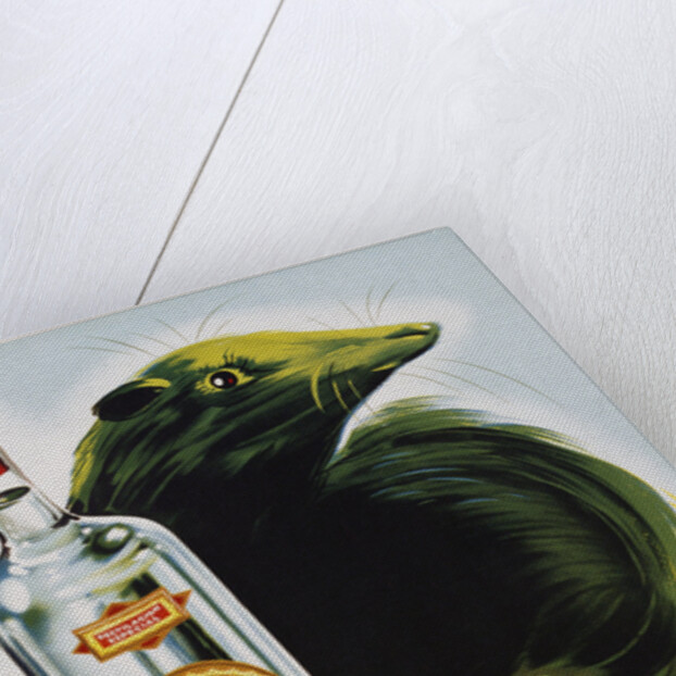 Anis del Taup Poster by A. Gil