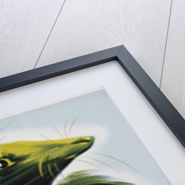 Anis del Taup Poster by A. Gil